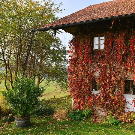 Cosy In Altreichenau Near The Forest Neureichenau