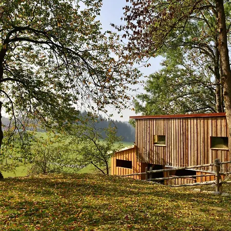 Cosy In Altreichenau Near The Forest Neureichenau